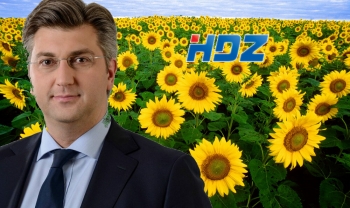 HDZ - stranka suncokreta