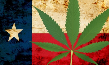 Teksaški konzervativci podržavaju dekriminalizaciju marihuane i legalizaciju industrijske konoplje