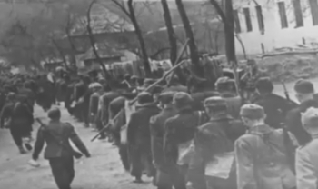 Cazinska buna 1950.: Kolektivizacija sela u Jugoslaviji naišla na oružani otpor