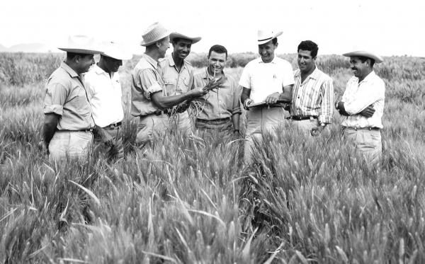 Heroji napretka (1): Norman Borlaug, otac zelene revolucije