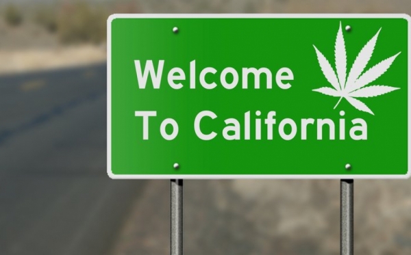 Kako je Kalifornija nakon legalizacije uspjela otjerati dilere marihuane nazad u ilegalu