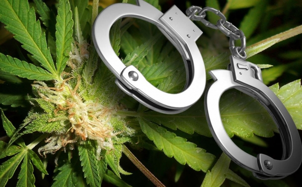 U Americi je više uhićenja zbog posjedovanja marihuane nego zbog svih nasilnih djela zajedno