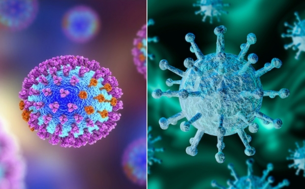Je li korona opasnija od gripe? Evo što kažu podaci HZJZ-a