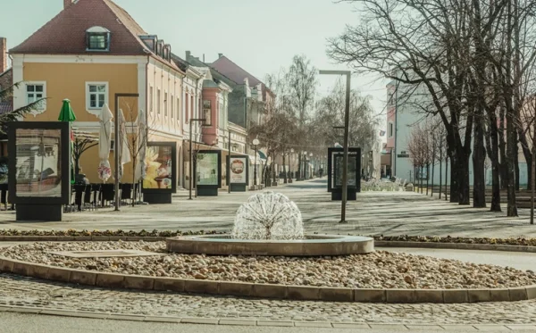 Fenomen Nove Gradiške: Represivni aparat je stvorio grad koji vladajućima uporno pokazuje palac dolje